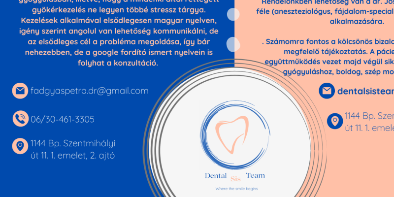 dentalsisteam.hu Cover Art
